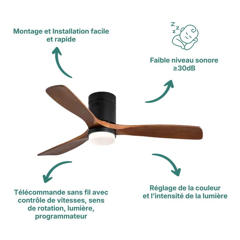 Kelly Ventilateur de Plafond silencieux de luxe - Bois Foncé Métal Noir Mat