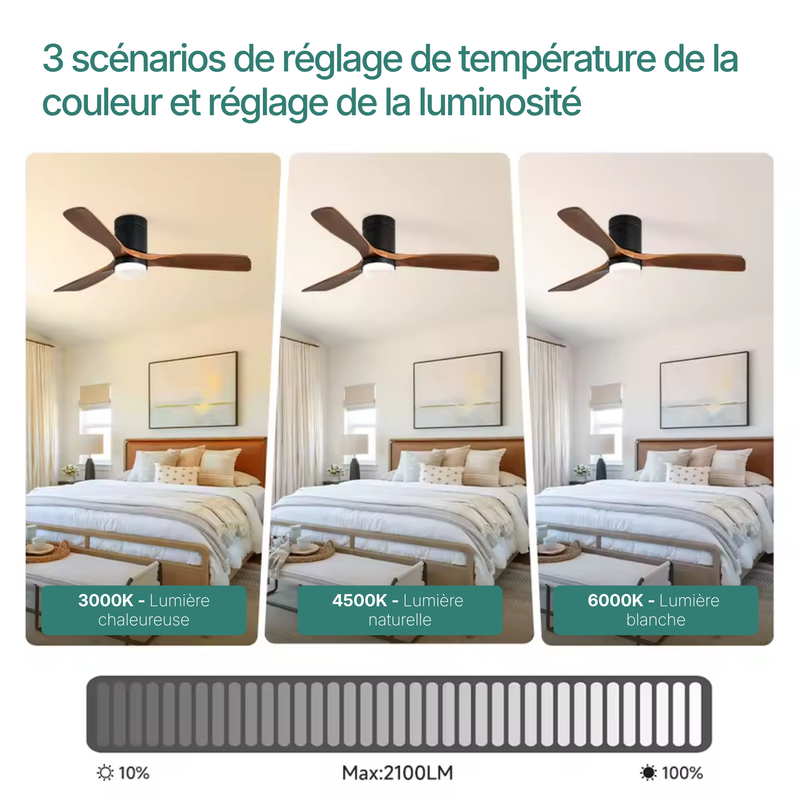 Kelly Ventilateur de Plafond silencieux de luxe - Bois Foncé Métal Noir Mat